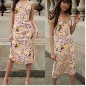 Reformation Midi Chianti Dress Blush Pink Conga Print Birds Floral Open back XS